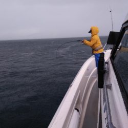 遊漁船SOUTH 9/2釣果