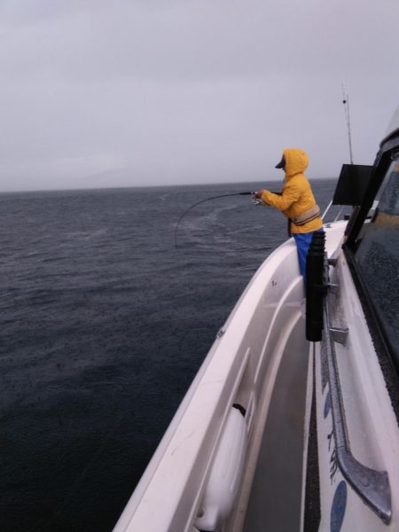 遊漁船SOUTH 9/2釣果