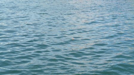 やっぱり人が多い人工島