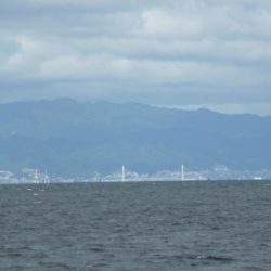 SJなのに釣果はLSJ以下