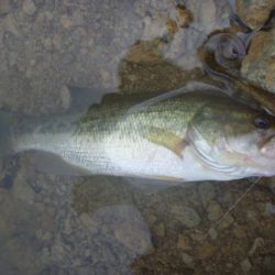 少し涼しくなったが