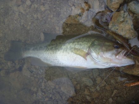 少し涼しくなったが