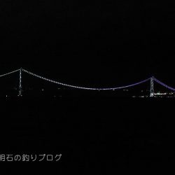 中サバの数釣り