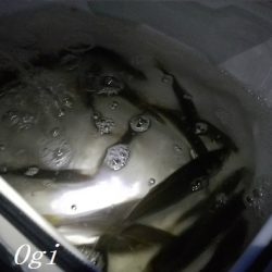 カワハギ/デカアジ/タチウオゲット！