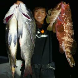 TOPGUN名古屋 釣果