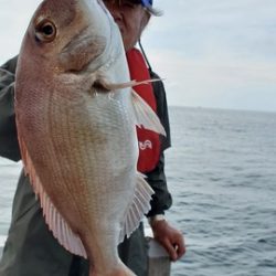 遊漁船 ニライカナイ 釣果