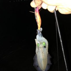 フラッシュ効果発動⁉️