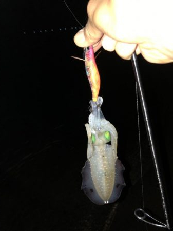 フラッシュ効果発動⁉️