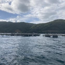 手漕ぎボートでティップラン