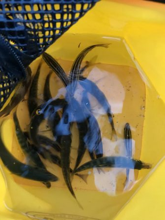 本日も本命無し!