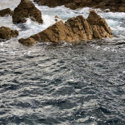 2020 佐渡ヶ島エギング 8回目