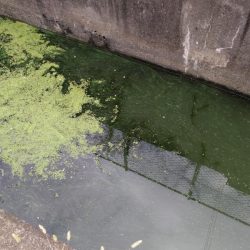 五目達成 ～小物釣り～