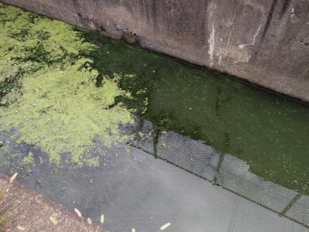 五目達成 ～小物釣り～