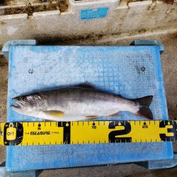 9寸止まりでした( ノД`)…