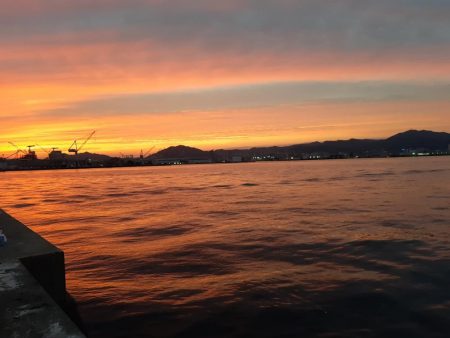 初和田防!魚種豊富!