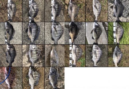 イチノ兄弟、釣果！