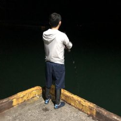 まだまだ小ぶり