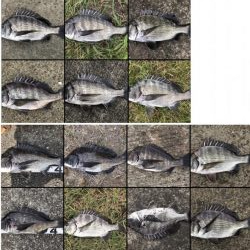 イチノ兄弟、釣果!