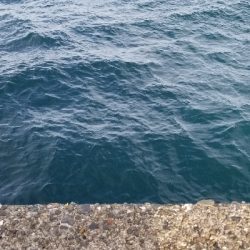 ナイトフィッシング