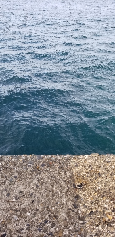 ナイトフィッシング