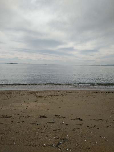 マゴチの群れに大当たり