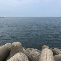 ネリゴが釣れたぞーヽ(^0^)ノ