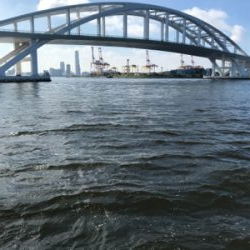 ストレス発散！