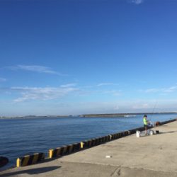 誘えばアタリ多数