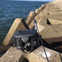 台風前、木材港でキス釣り(^。^)