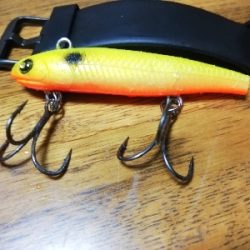 台風明け、吹き返しに気を付けながらも…