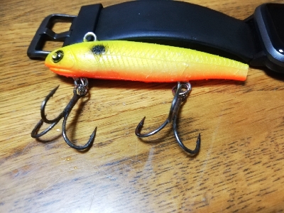 台風明け、吹き返しに気を付けながらも…