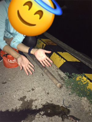 初佐渡島ライトゲーム