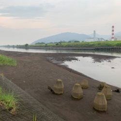 悔しくてチニング へ！