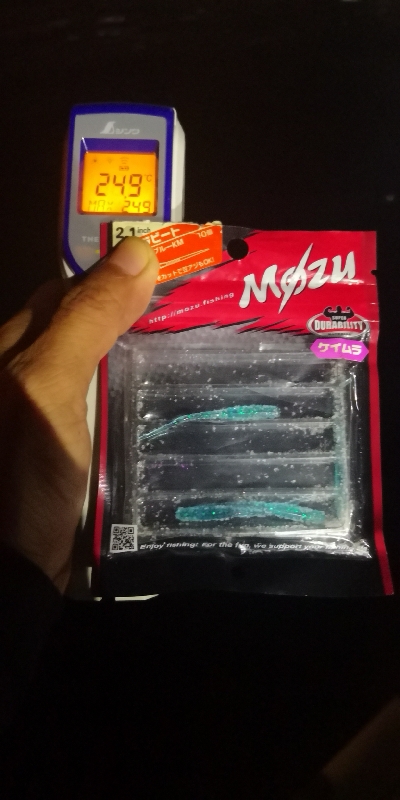 アジング練習 187