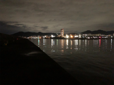 今年初タチウオ