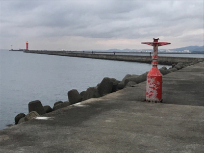 小型が多かったが4枚