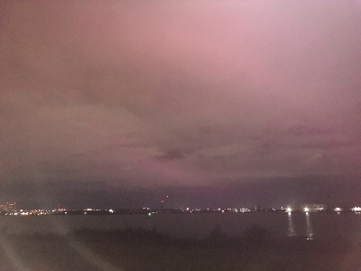 タケノコメバル35cm