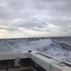 初めて船で魚釣り