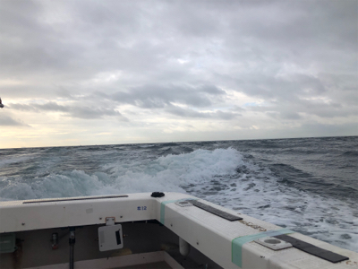 初めて船で魚釣り