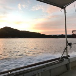 初ボートエギング