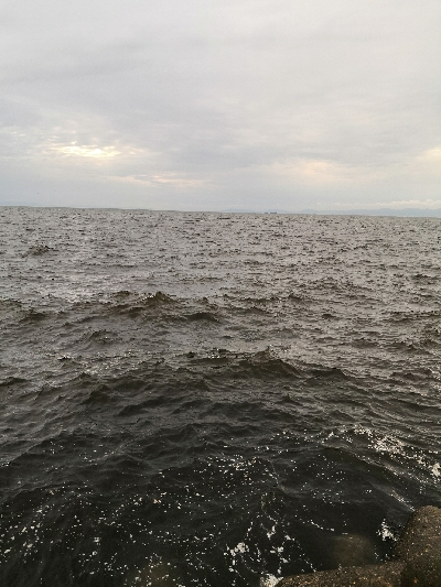 太刀魚調査はサバゲー