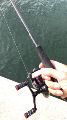 サヨリングからのちょい投げ