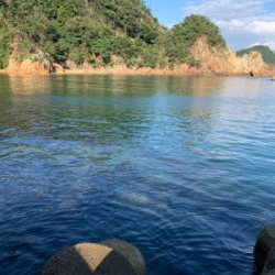 連休初日エギング