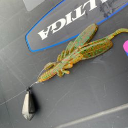 和田港啓福丸さんにて