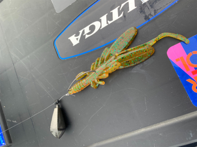 和田港啓福丸さんにて