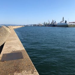 ダツチェイスとハマチ