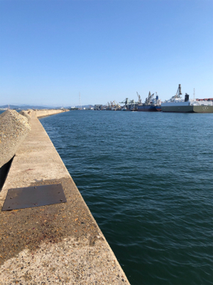 ダツチェイスとハマチ