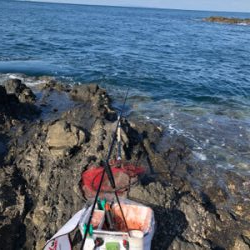 磯からフカセでイサギ＆グレ