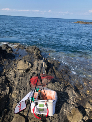 磯からフカセでイサギ＆グレ