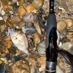 アタリはあるけど